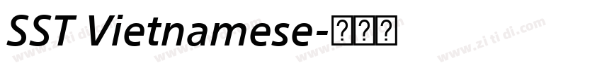 SST Vietnamese字体转换